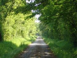 chambres d'hôtes thévenon montbrison forez loire chambres d'hôtes thévenon montbrison forez loire