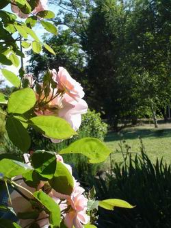 chambres d'hôtes thévenon montbrison forez loire chambres d'hôtes thévenon montbrison forez loire